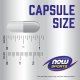 NOW BCAA - 120 capsule vegetale