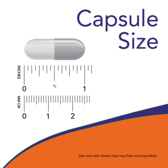 NOW MSM 1000mg -120 Capsule vegetale