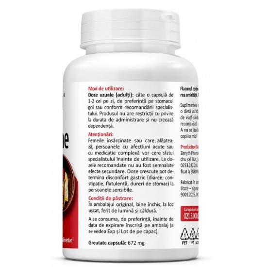 Berberine 500mg - 60 Capsule vegetale